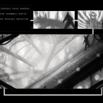 0013
